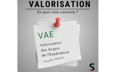 Dossier VAE Sonelo