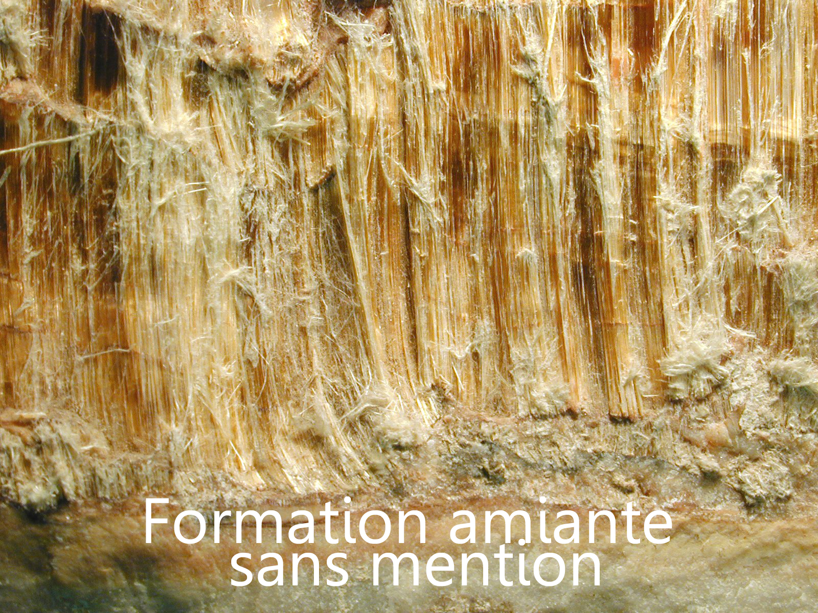 Formation amiante – sans mention